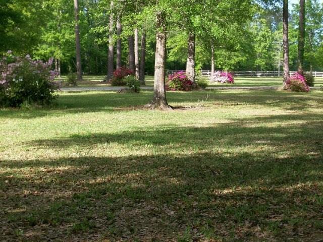 20330 Happywoods Road Springfield, LA 70462 - Photo 27 of 28 Gallery Image 27