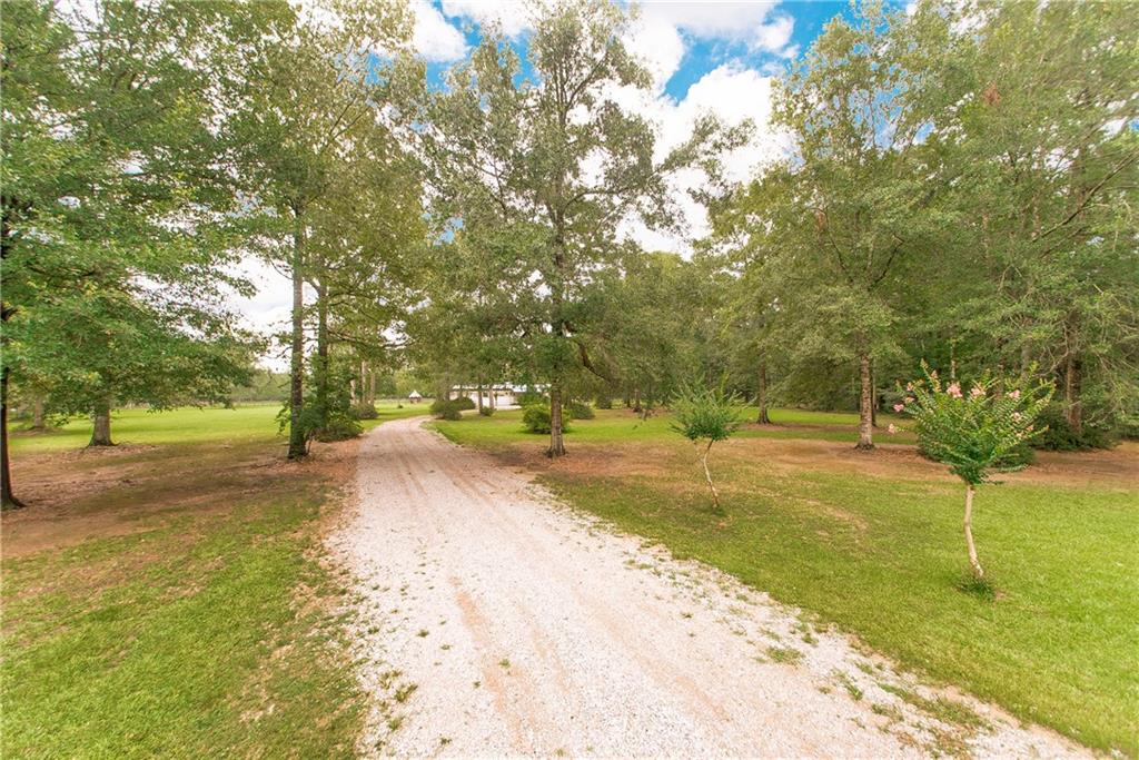 20330 Happywoods Road Springfield, LA 70462 - Photo 4 of 28 Gallery Image 4