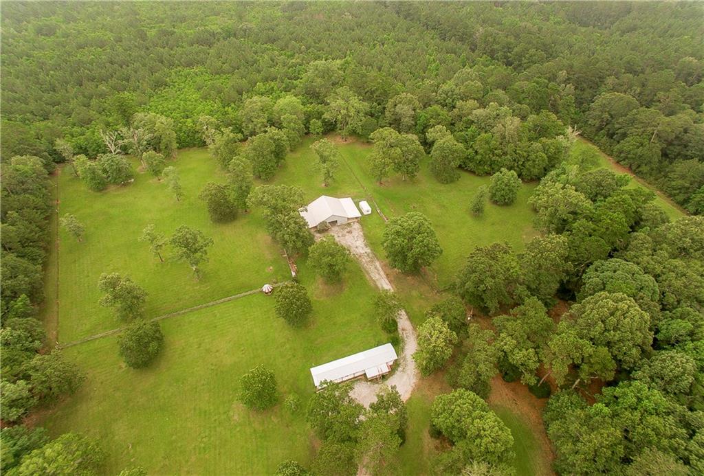 20330 Happywoods Road Springfield, LA 70462 - Photo 8 of 28 Gallery Image 8