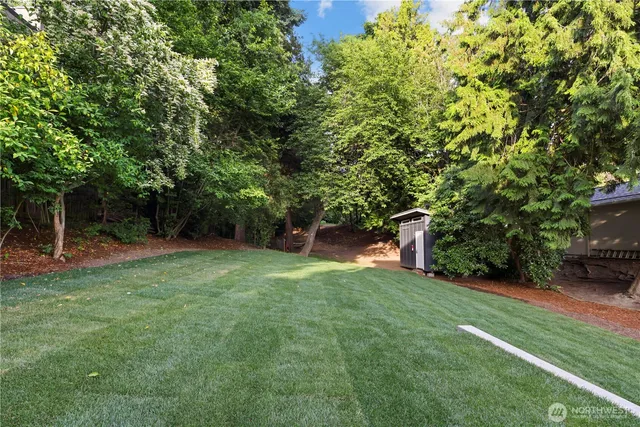 a view of a tree in front of a house