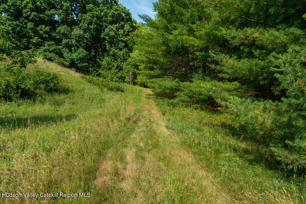 189 Tice Road Ellenville, NY 12428 - Photo 38 of 44 40