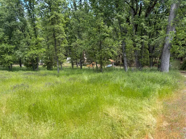 a view of a green field with trees in the background