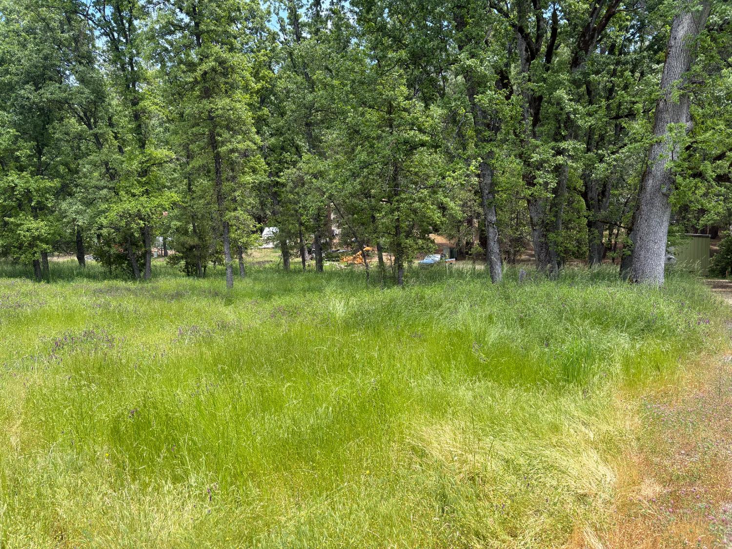 a view of a green field with trees in the background