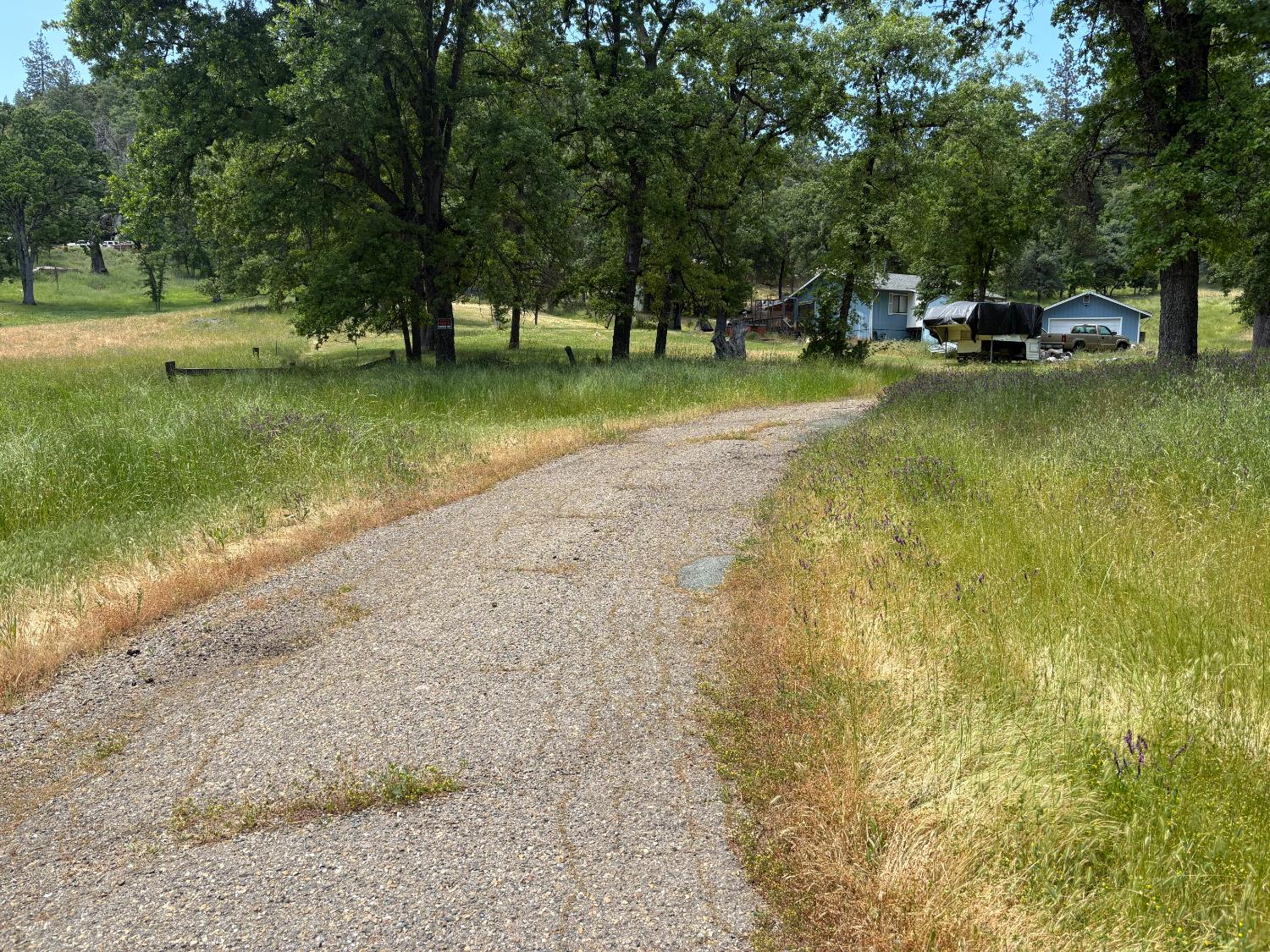 27289 Forrest Oak Road Pioneer, CA 95666 - Photo 2 of 5 a view of a lake with lawn chairs and large trees