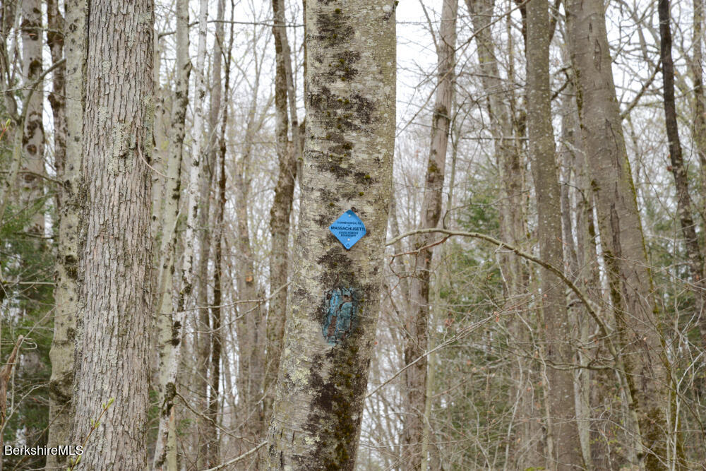 0 East Otis Road Granville, MA 01034 - Photo 4 of 6 Boundary Markers
