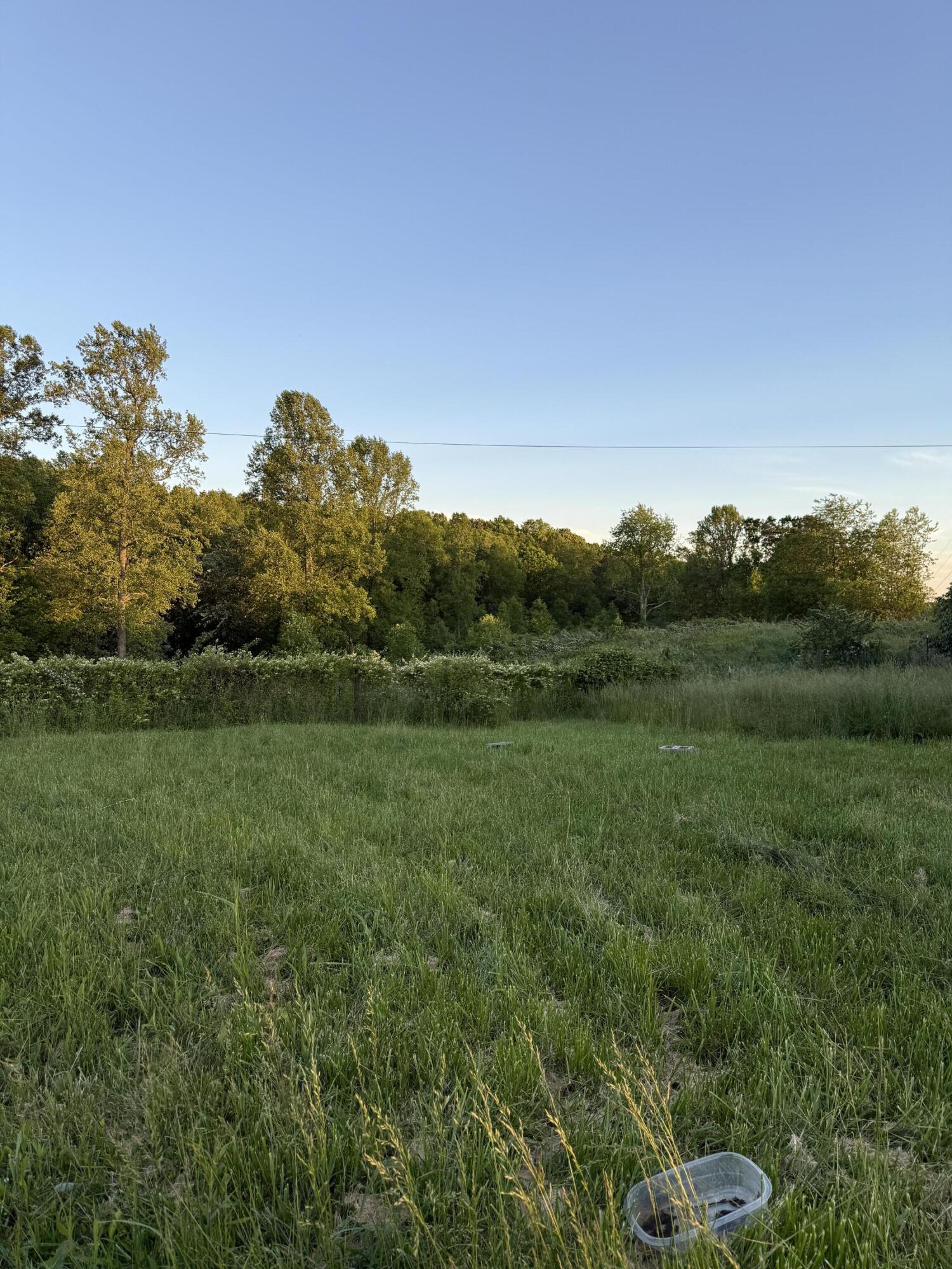 2271 Patton Road East Bernstadt, KY 40729 - Photo 4 of 12 IMG_9329