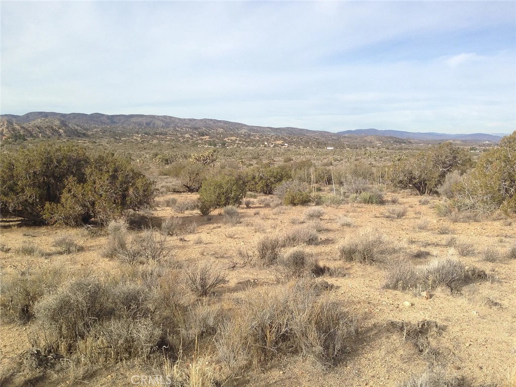 0 Fort Tejon Road Littlerock, CA 93543 - Photo 2 of 3 a view of a dry yard with mountains in the background