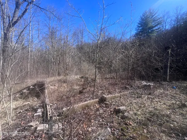 $115,000 | 603 Sled Creek Road, Duff, TN 37729