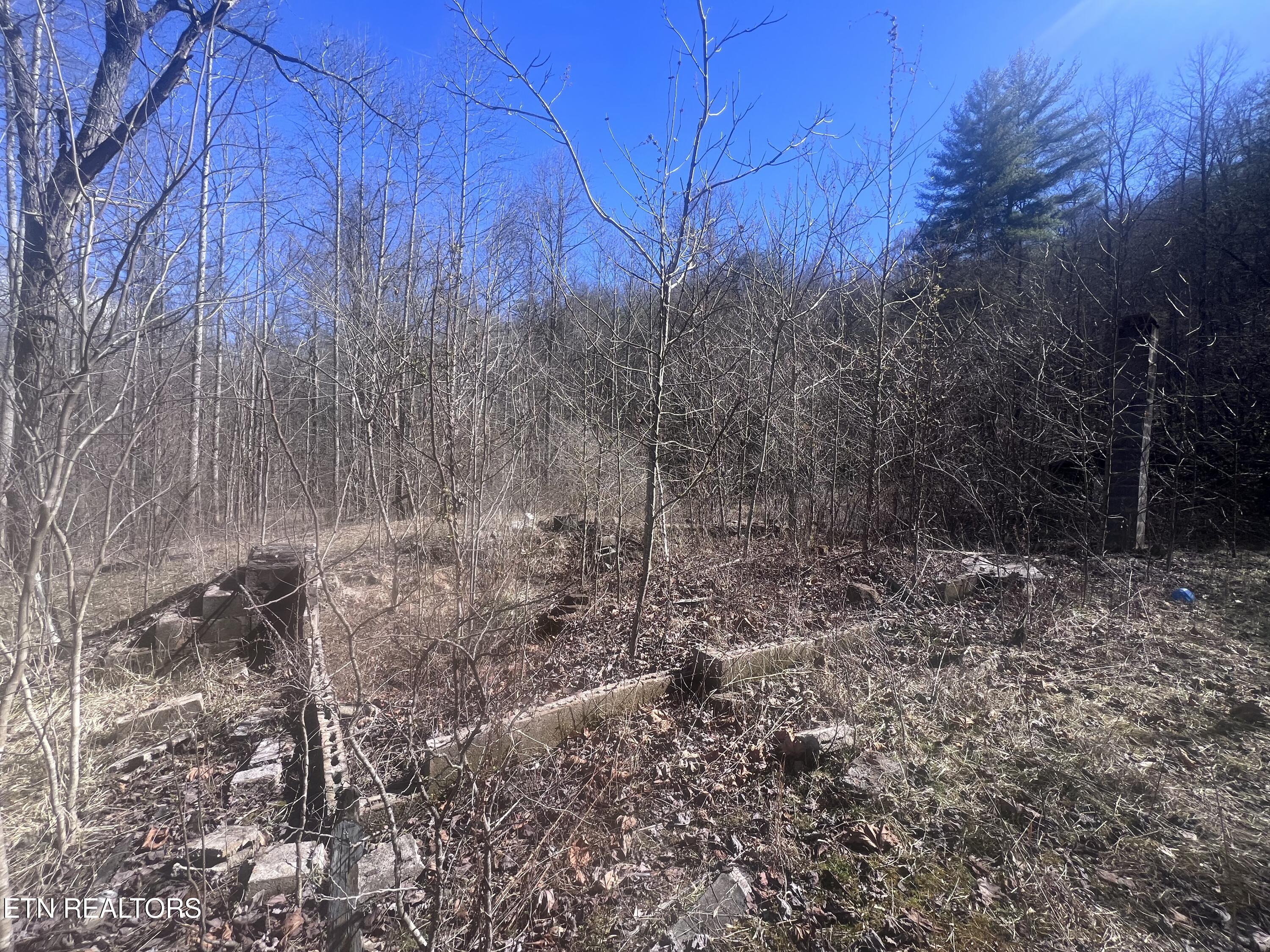 603 Sled Creek Road Duff, TN 37729 - Photo 11 of 32 IMG_9854