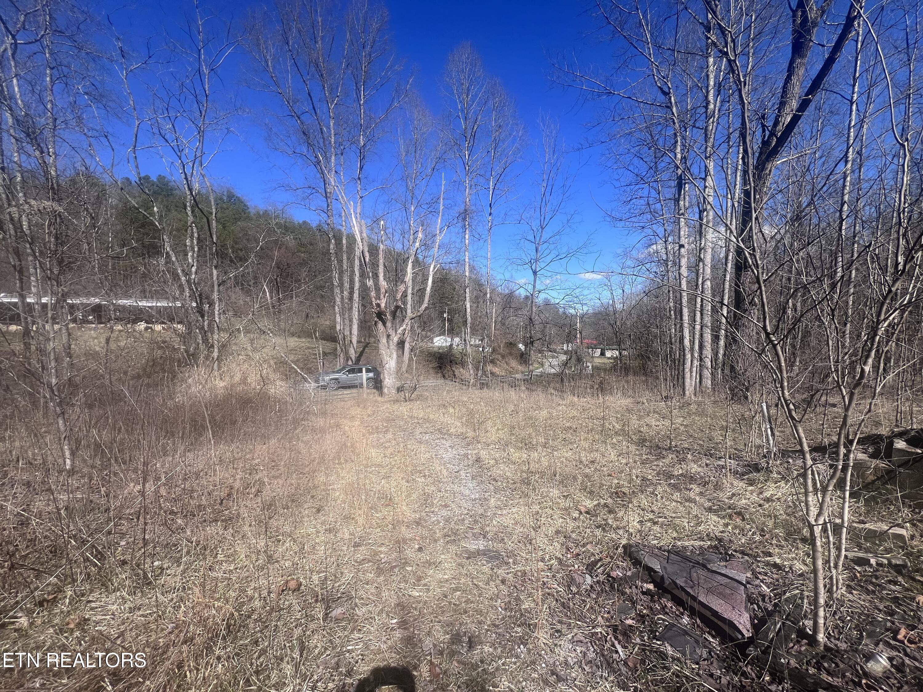 603 Sled Creek Road Duff, TN 37729 - Photo 12 of 32 IMG_9855