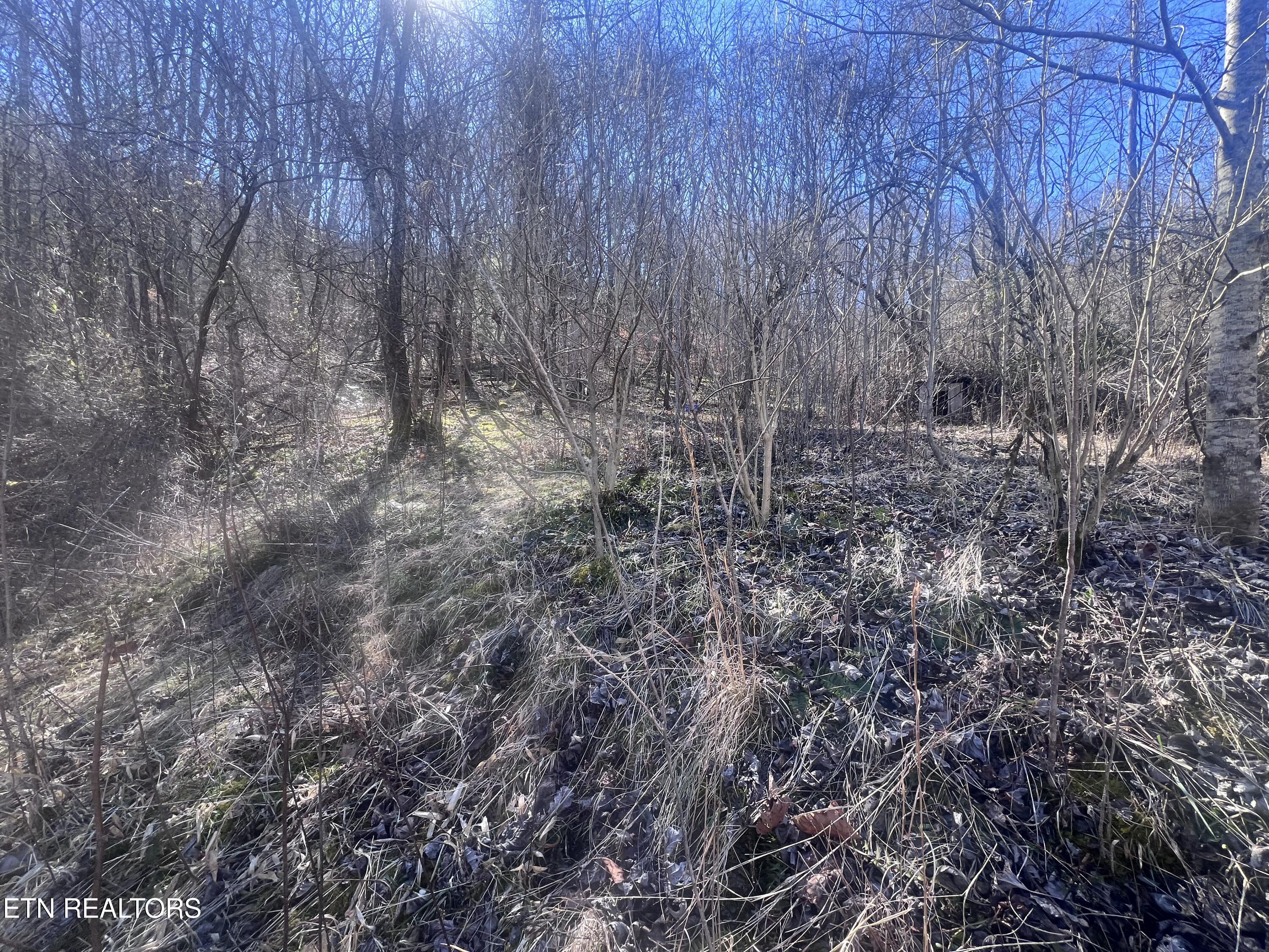 603 Sled Creek Road Duff, TN 37729 - Photo 13 of 32 IMG_9857