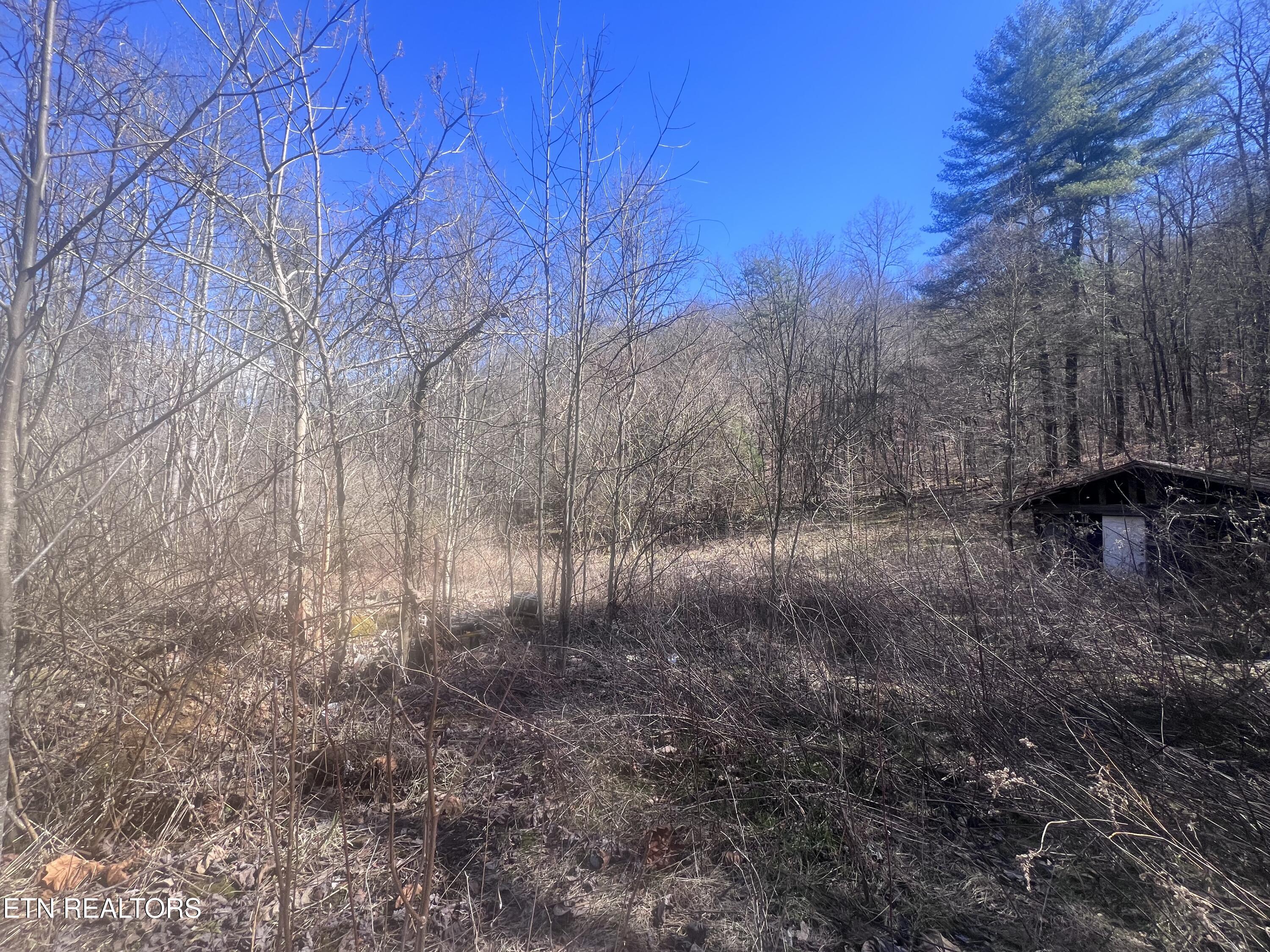 603 Sled Creek Road Duff, TN 37729 - Photo 14 of 32 IMG_9858