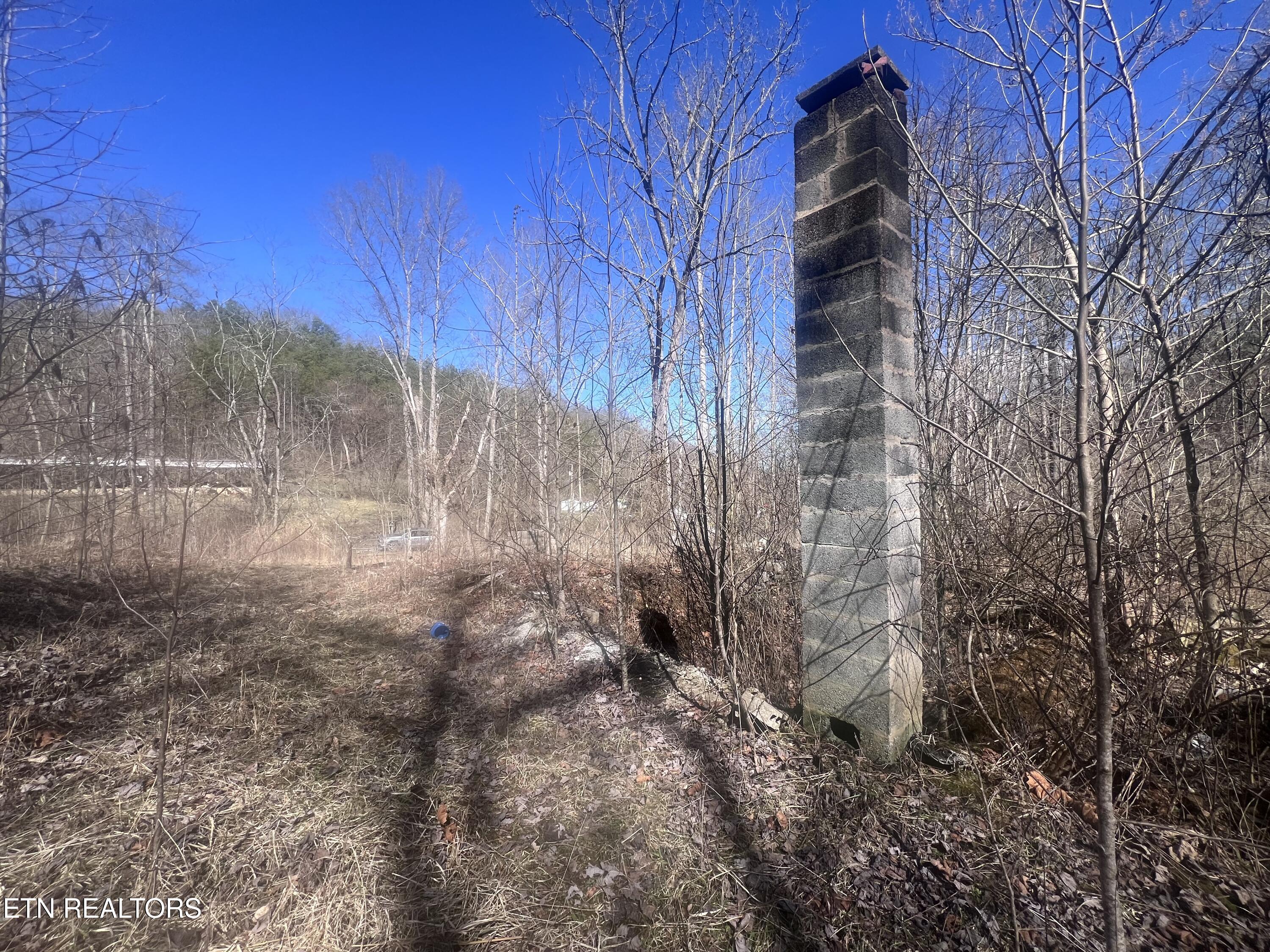 603 Sled Creek Road Duff, TN 37729 - Photo 15 of 32 IMG_9859