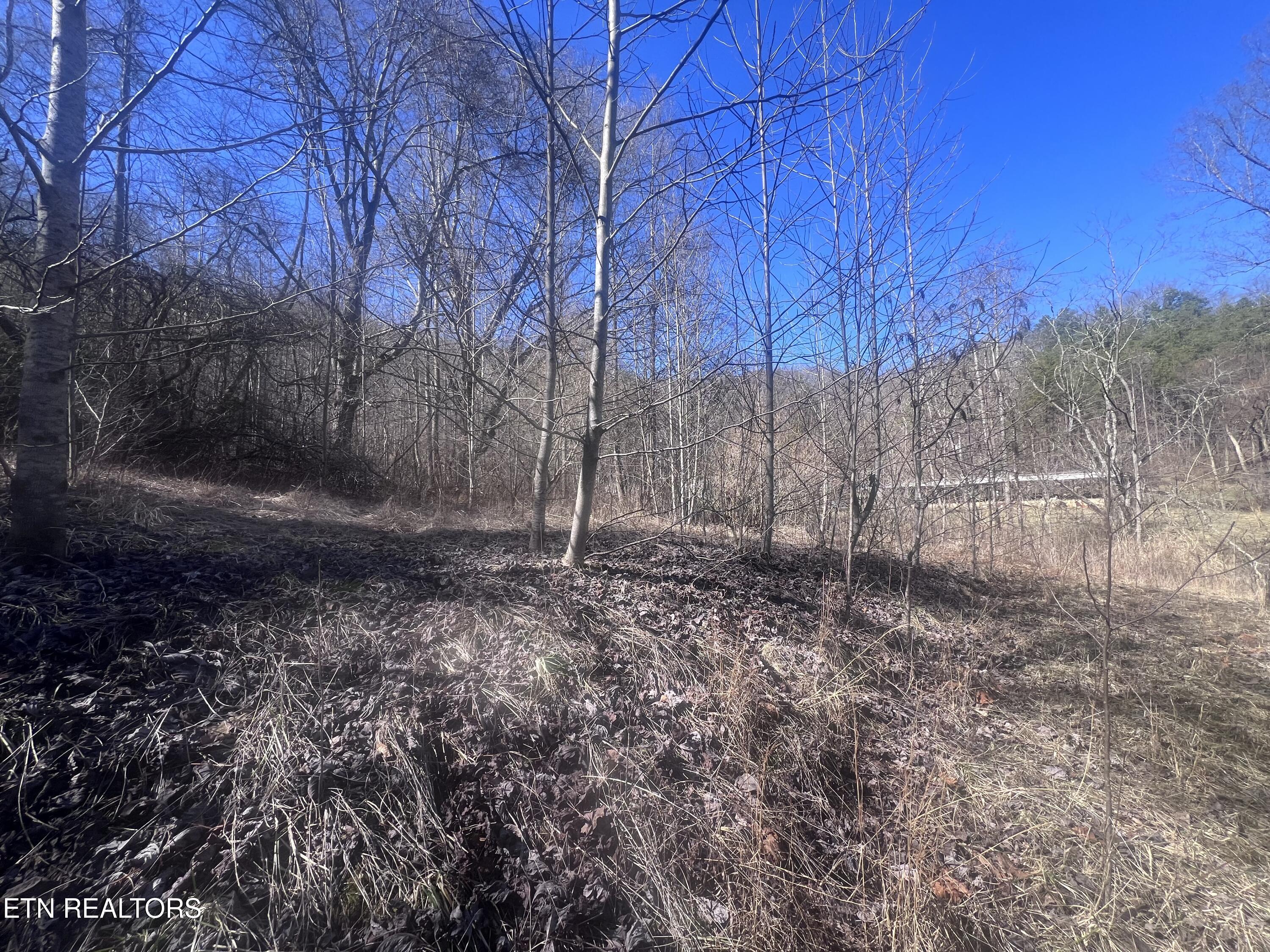 603 Sled Creek Road Duff, TN 37729 - Photo 16 of 32 IMG_9860