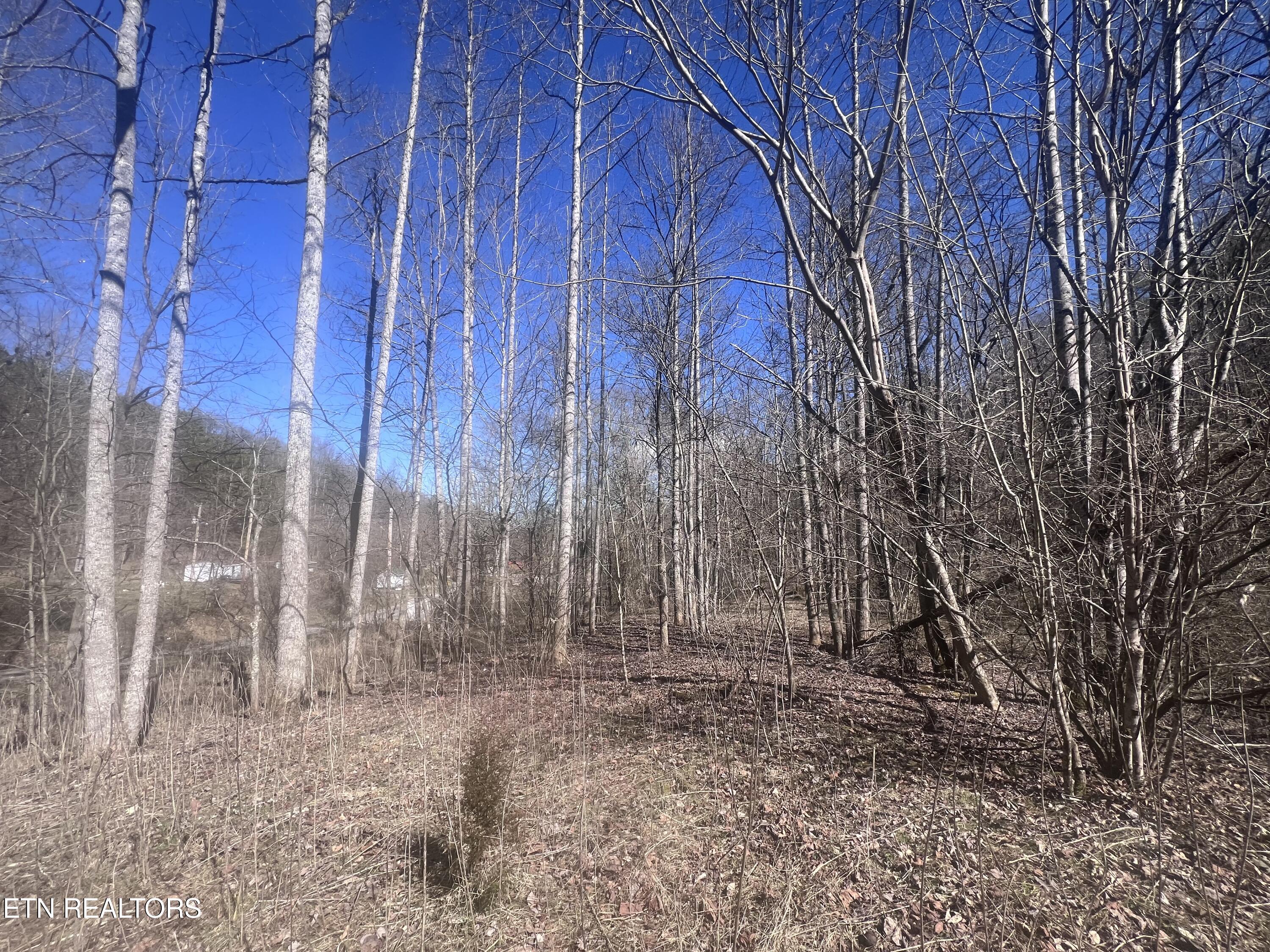 603 Sled Creek Road Duff, TN 37729 - Photo 18 of 32 IMG_9863