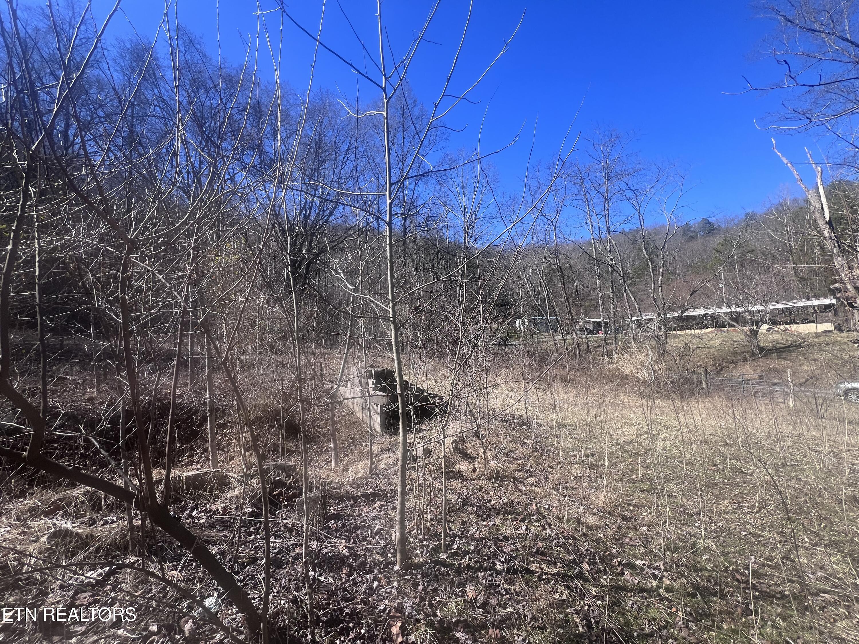 603 Sled Creek Road Duff, TN 37729 - Photo 19 of 32 IMG_9864