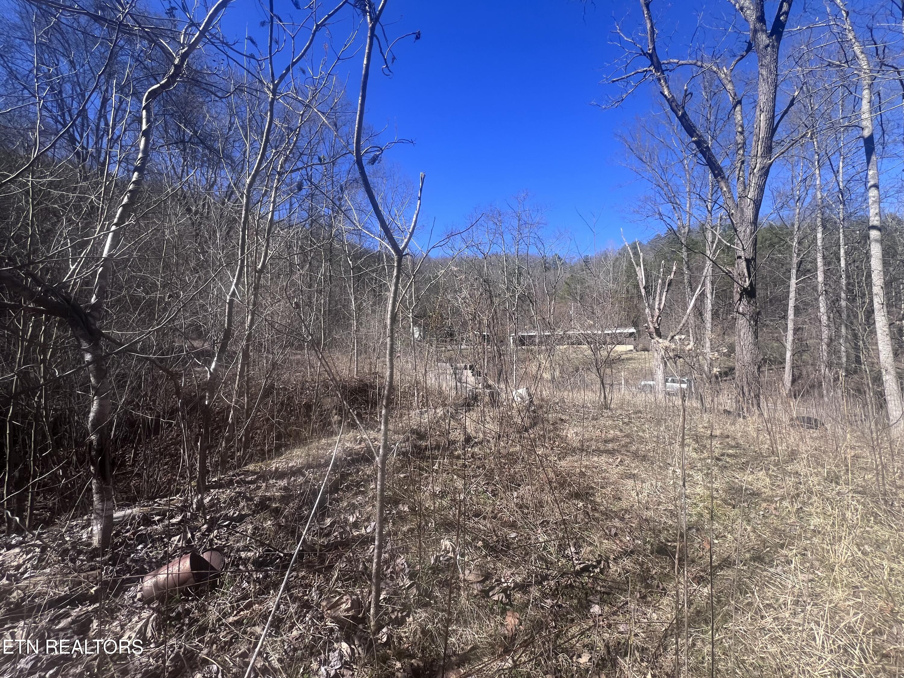 603 Sled Creek Road Duff, TN 37729 - Photo 20 of 32 IMG_9867