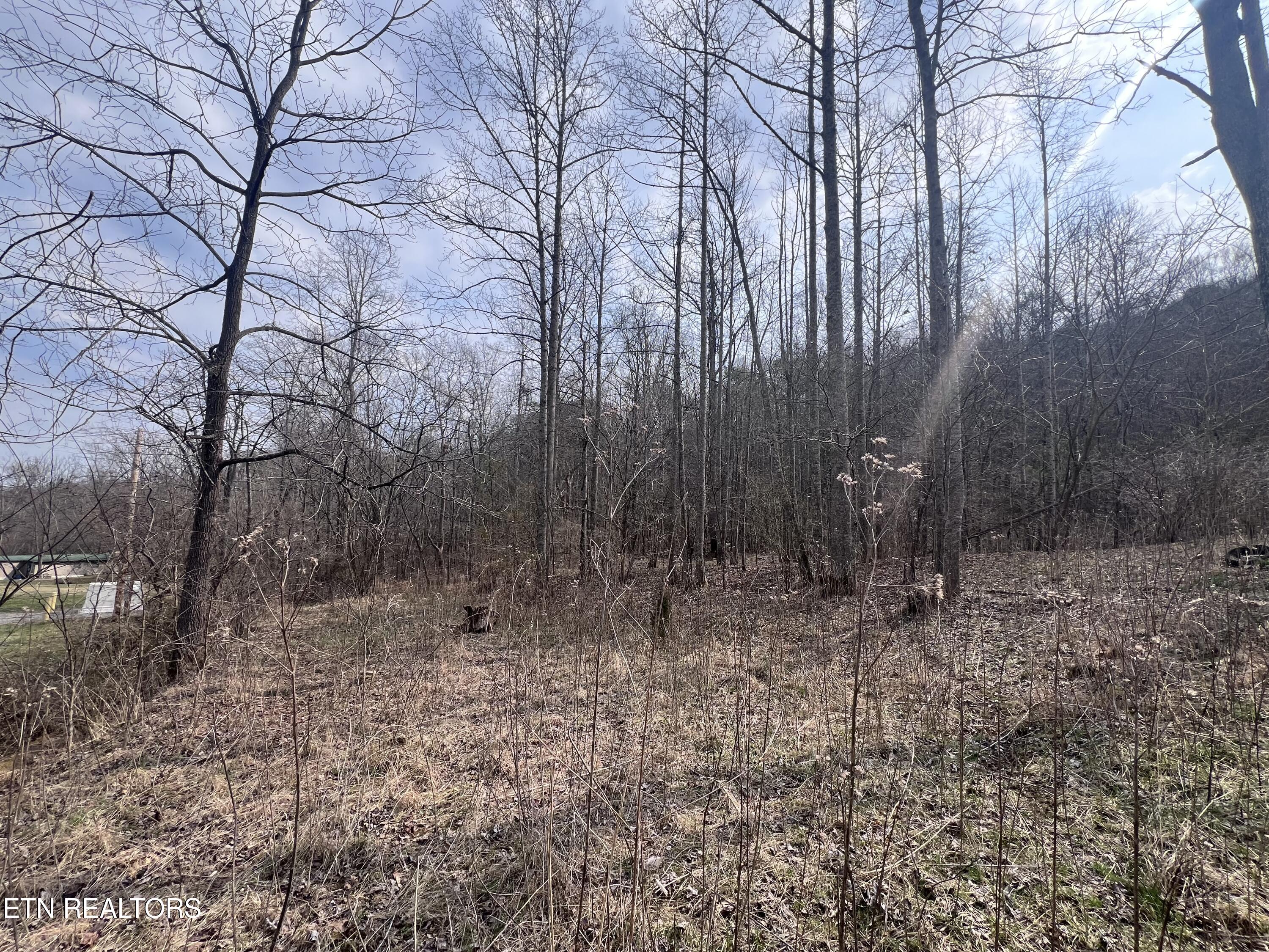 603 Sled Creek Road Duff, TN 37729 - Photo 21 of 32 IMG_9913