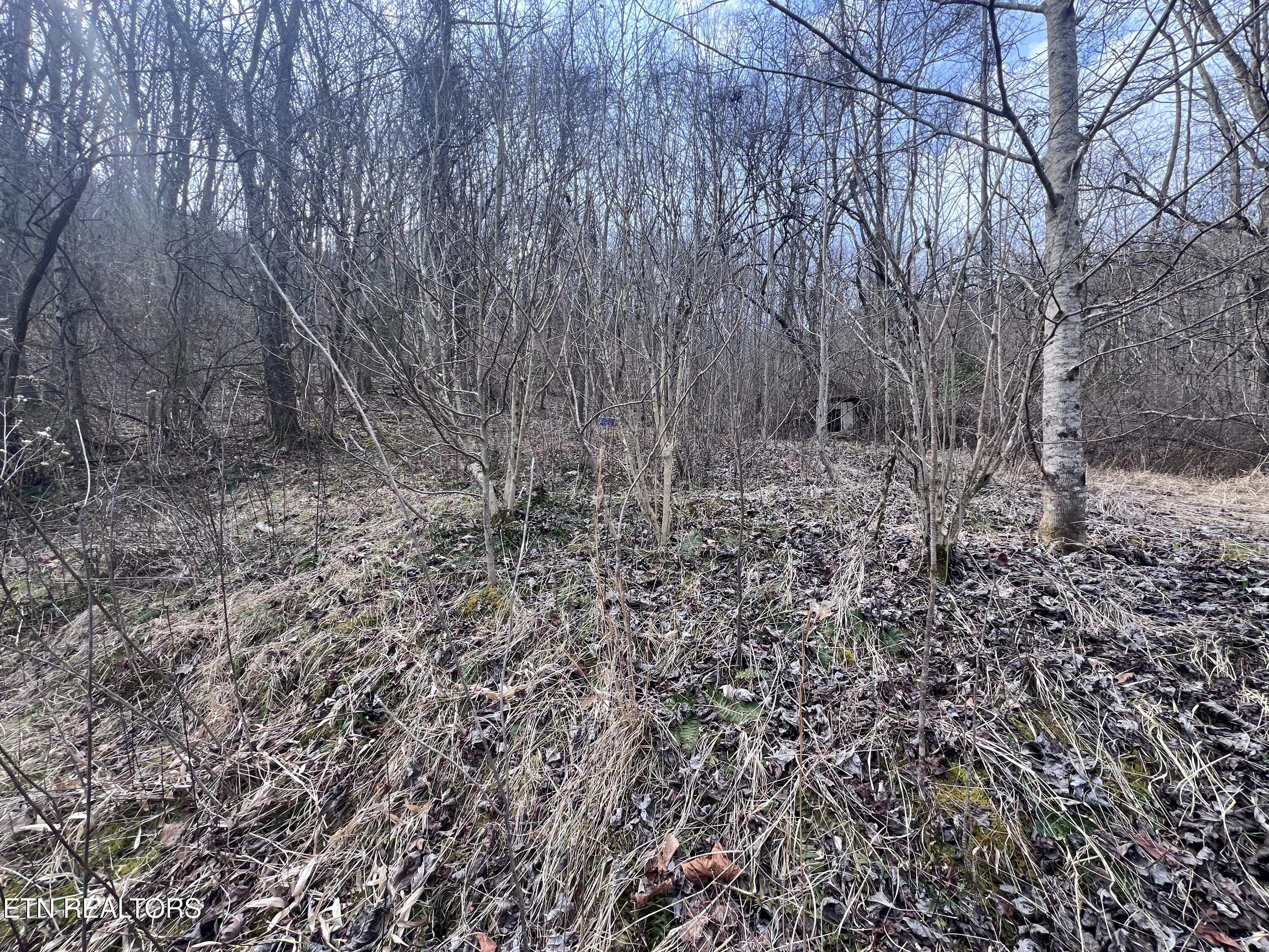 603 Sled Creek Road Duff, TN 37729 - Photo 22 of 32 IMG_9910