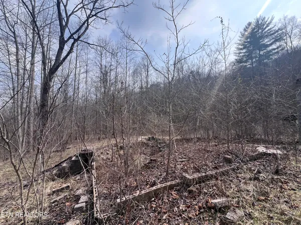 $115,000 | 603 Sled Creek Road, Duff, TN 37729