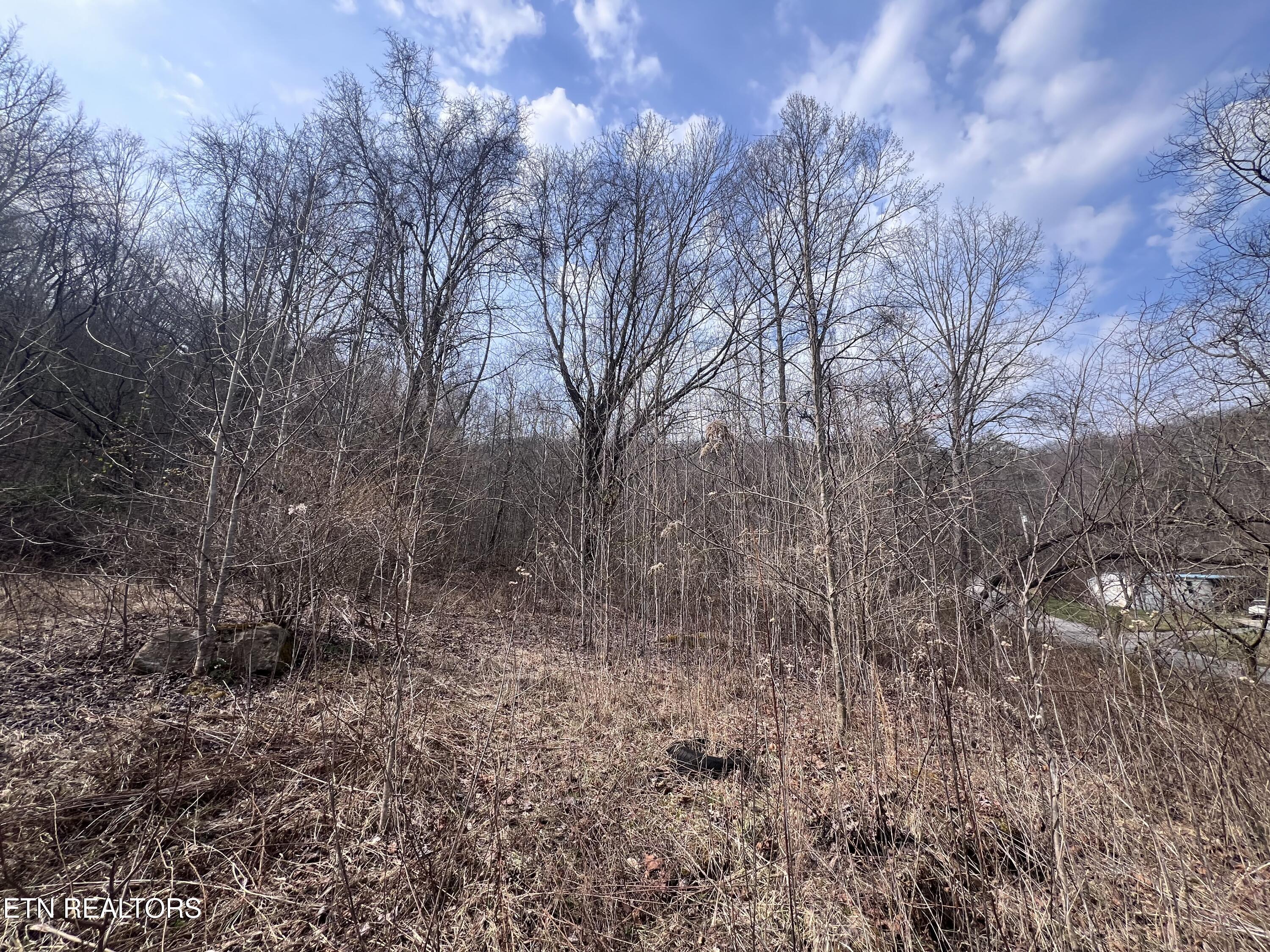 603 Sled Creek Road Duff, TN 37729 - Photo 24 of 32 IMG_9906