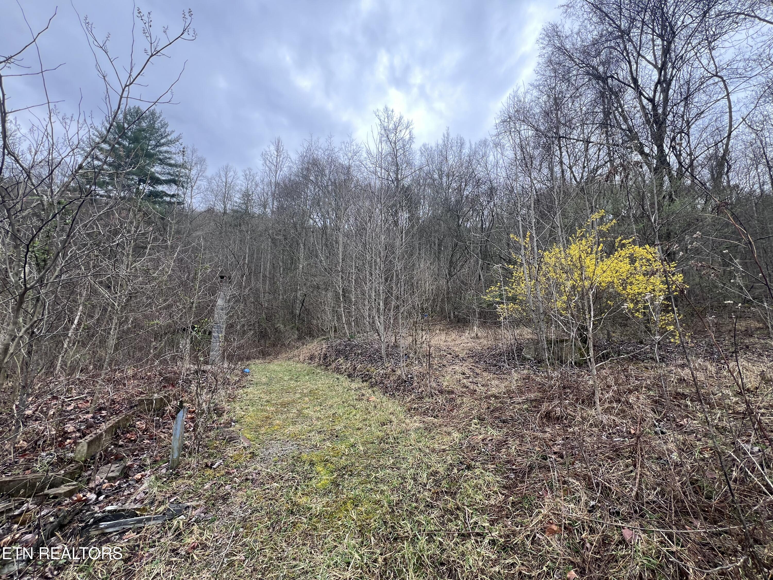 603 Sled Creek Road Duff, TN 37729 - Photo 26 of 32 IMG_0088