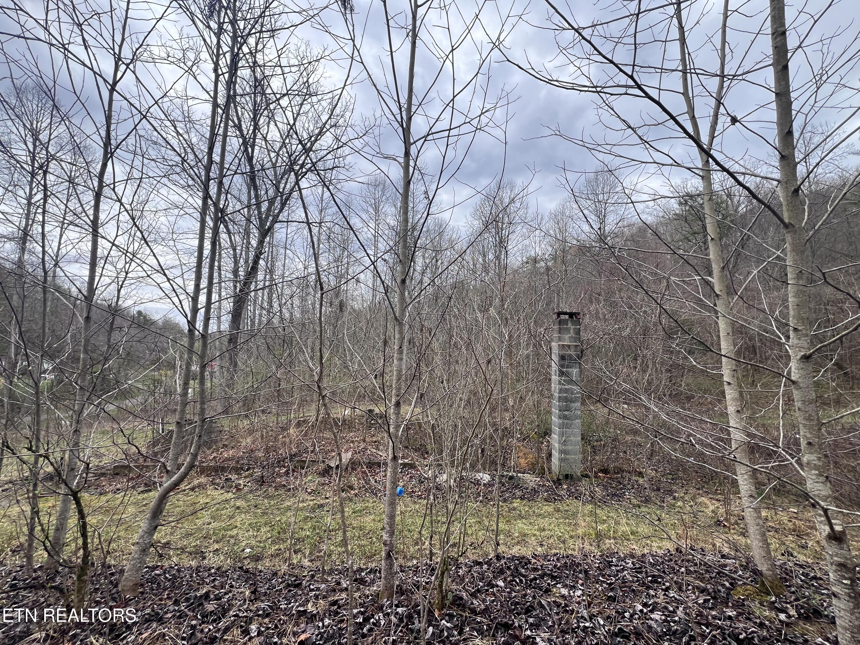 603 Sled Creek Road Duff, TN 37729 - Photo 27 of 32 IMG_0089