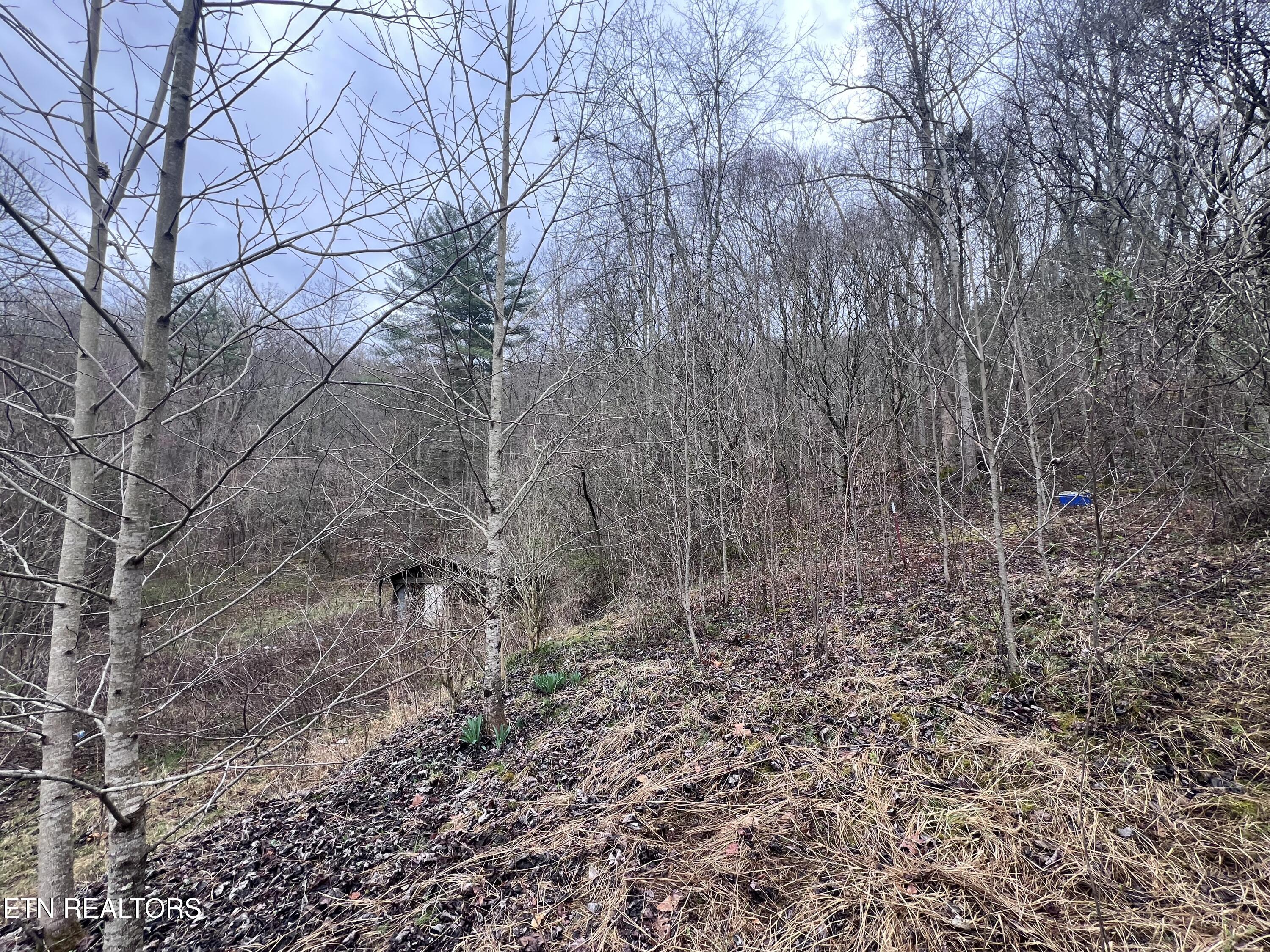 603 Sled Creek Road Duff, TN 37729 - Photo 28 of 32 IMG_0090