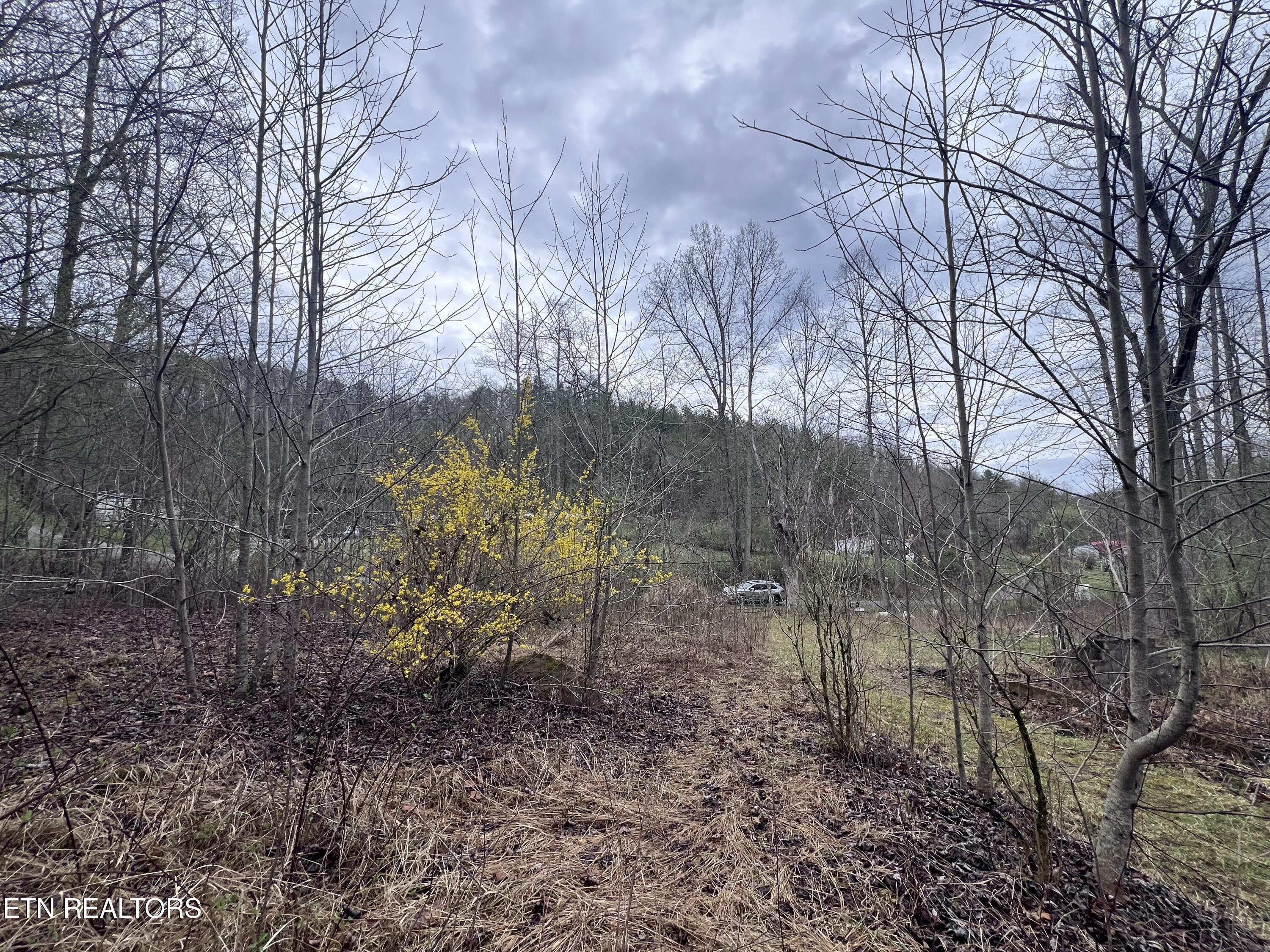 603 Sled Creek Road Duff, TN 37729 - Photo 29 of 32 IMG_0091