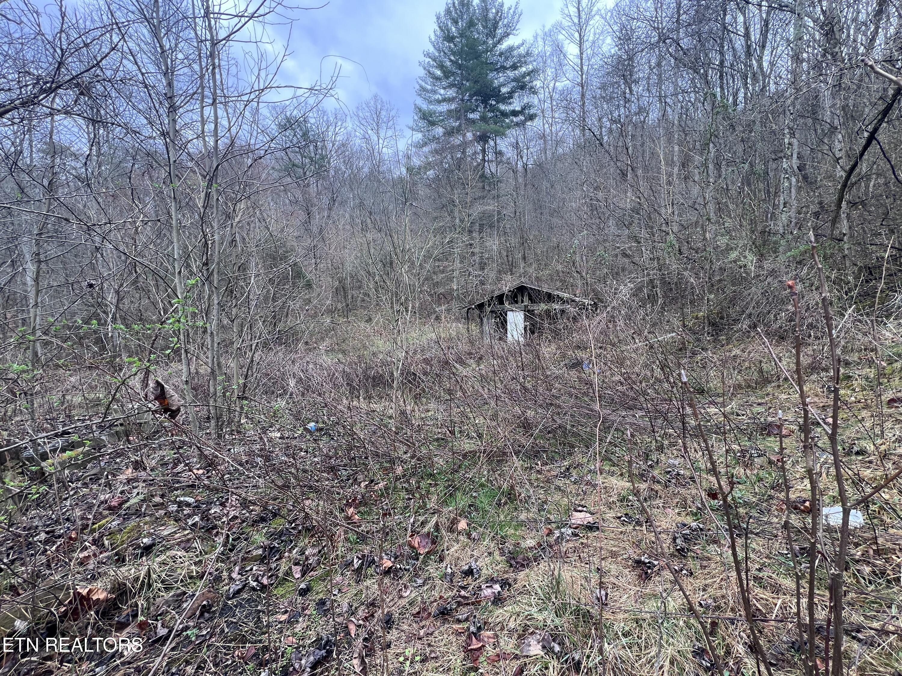 603 Sled Creek Road Duff, TN 37729 - Photo 30 of 32 IMG_0092