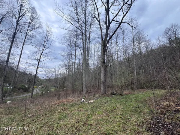 $115,000 | 603 Sled Creek Road, Duff, TN 37729