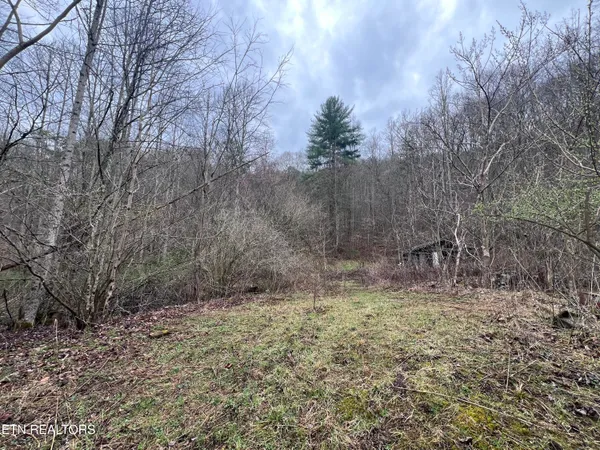 $115,000 | 603 Sled Creek Road, Duff, TN 37729