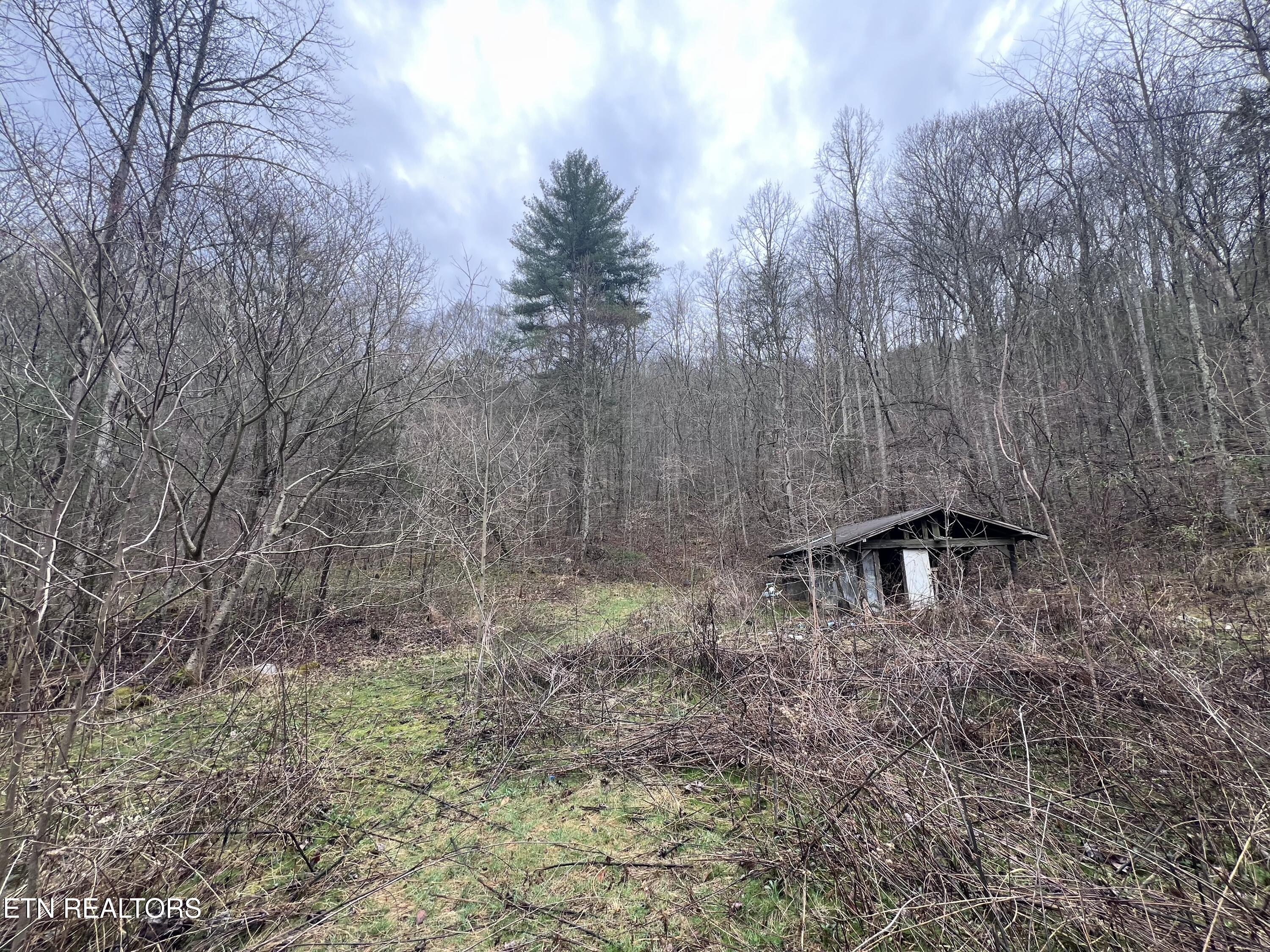 603 Sled Creek Road Duff, TN 37729 - Photo 32 of 32 IMG_0094