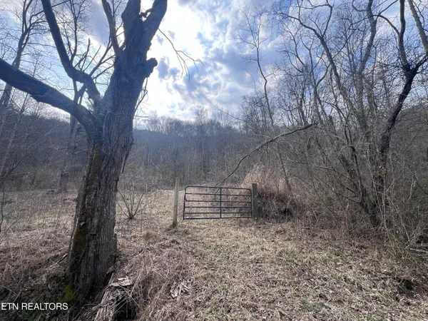 $115,000 | 603 Sled Creek Road, Duff, TN 37729