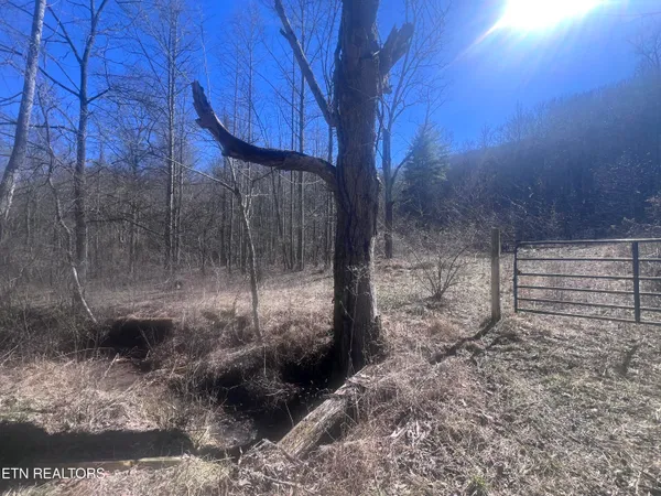 $115,000 | 603 Sled Creek Road, Duff, TN 37729