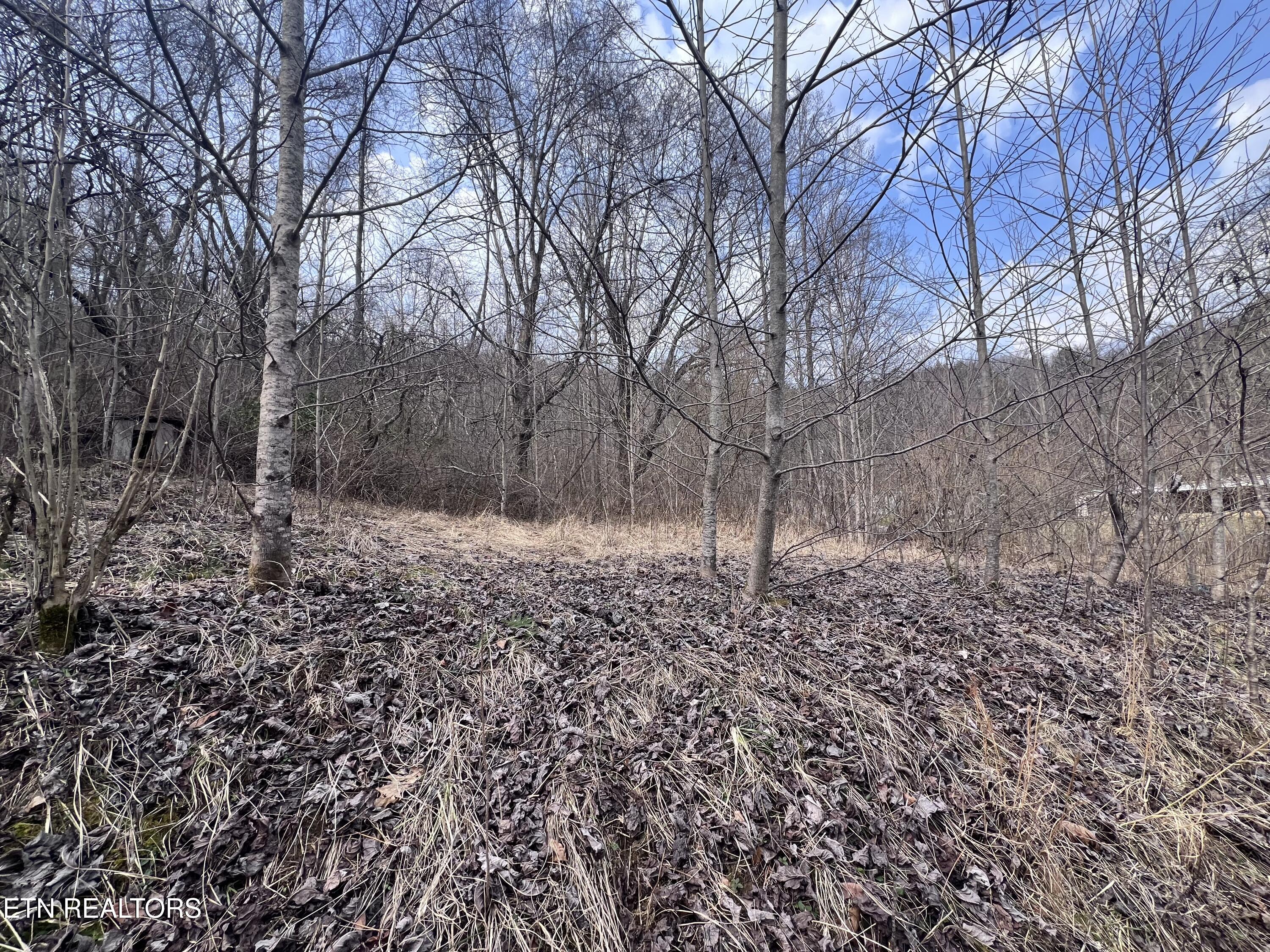 603 Sled Creek Road Duff, TN 37729 - Photo 6 of 32 IMG_9911