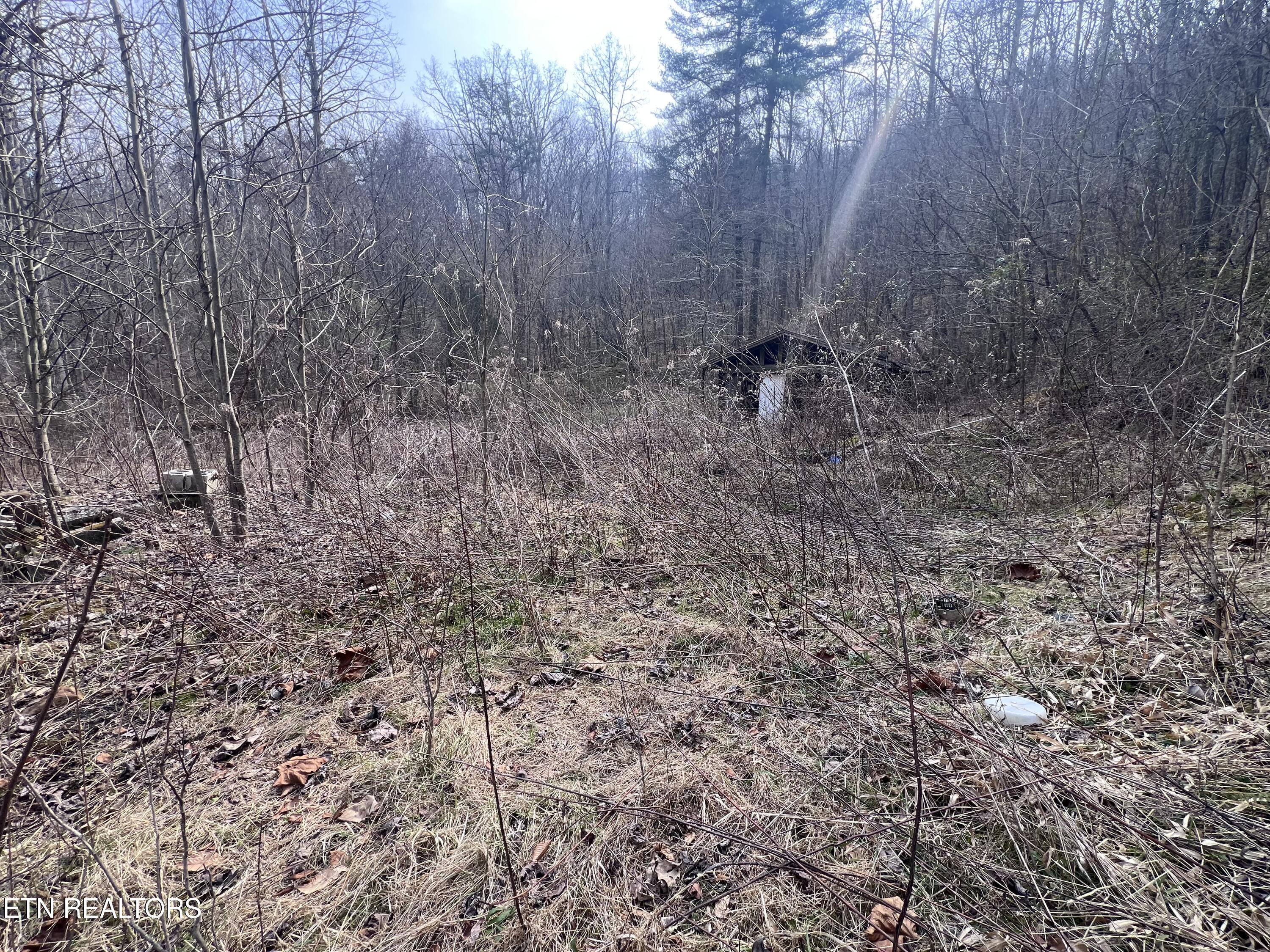 603 Sled Creek Road Duff, TN 37729 - Photo 7 of 32 IMG_9909