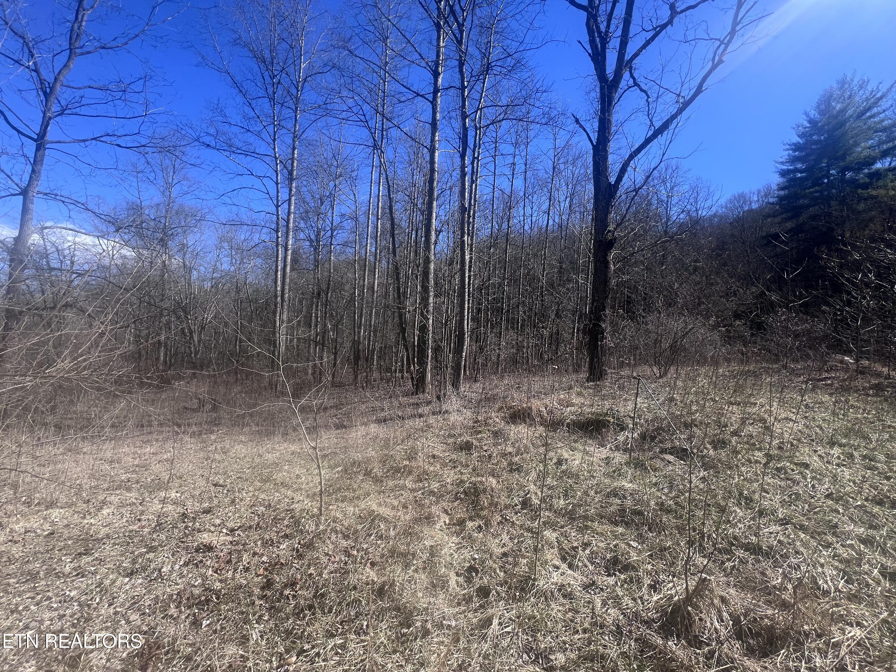 603 Sled Creek Road Duff, TN 37729 - Photo 9 of 32 IMG_9850