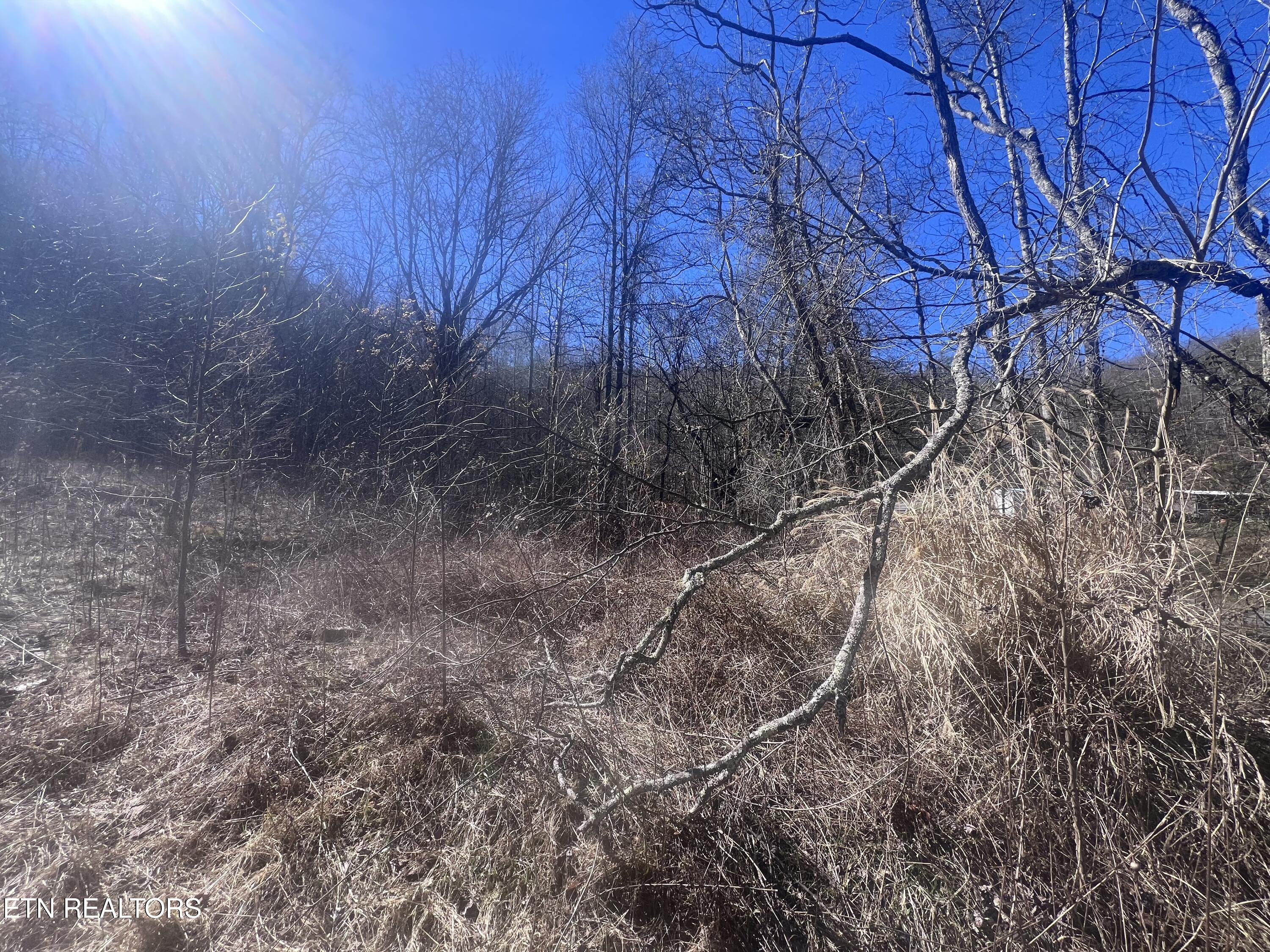 603 Sled Creek Road Duff, TN 37729 - Photo 10 of 32 IMG_9852