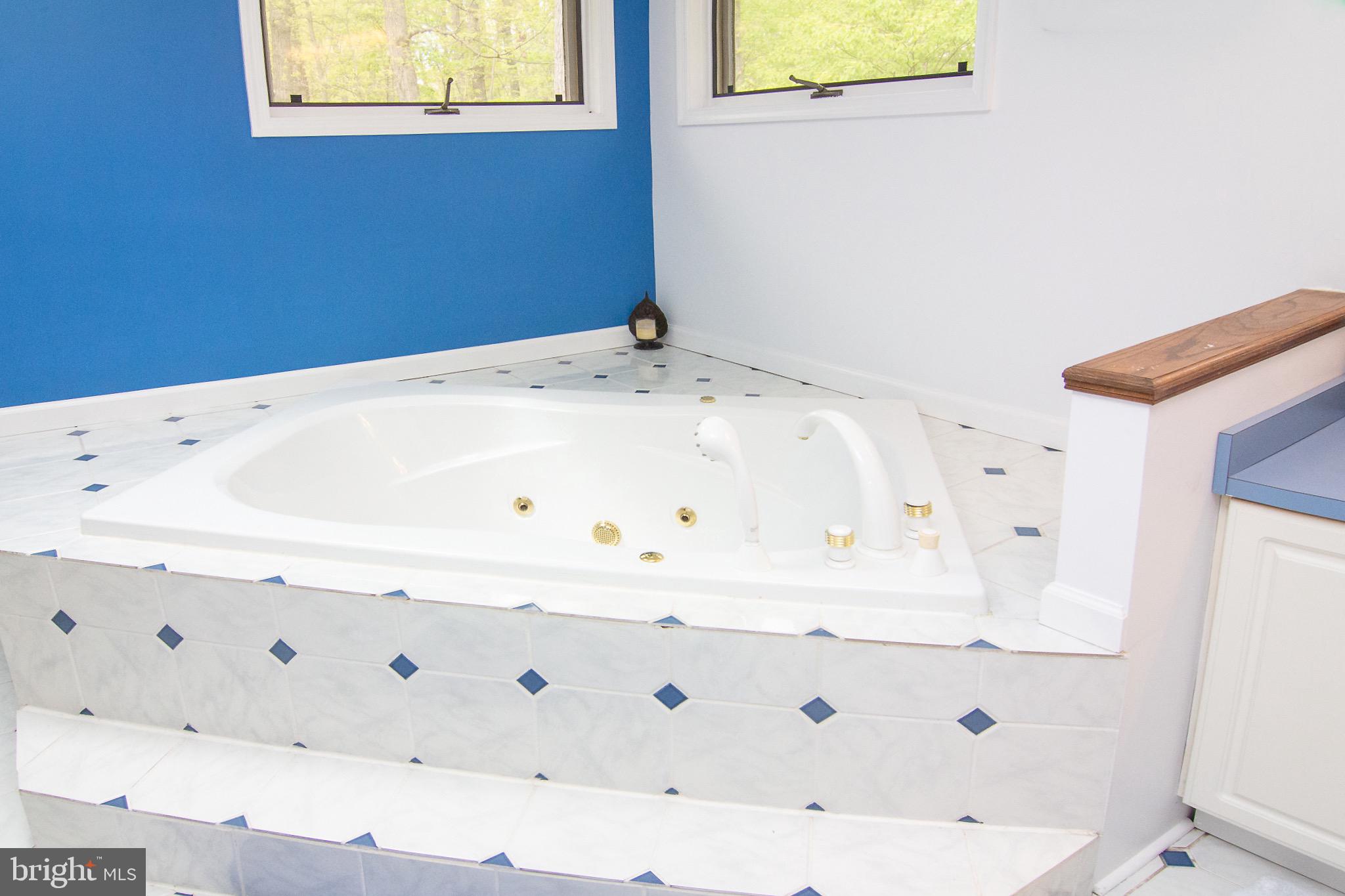 2037 Albert Rill Road Hampstead, MD 21074 - Photo 24 of 38 Master soaking tub