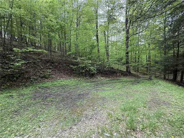 $175,000 | 3304 County Road 22, Cameron, NY 14820