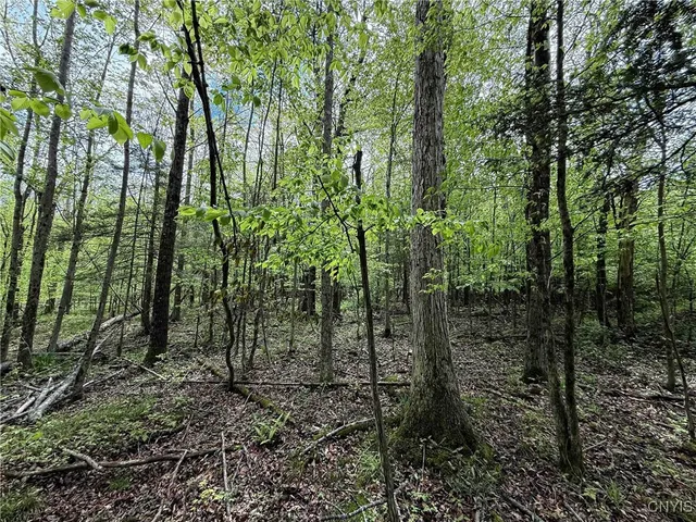 $175,000 | 3304 County Road 22, Cameron, NY 14820