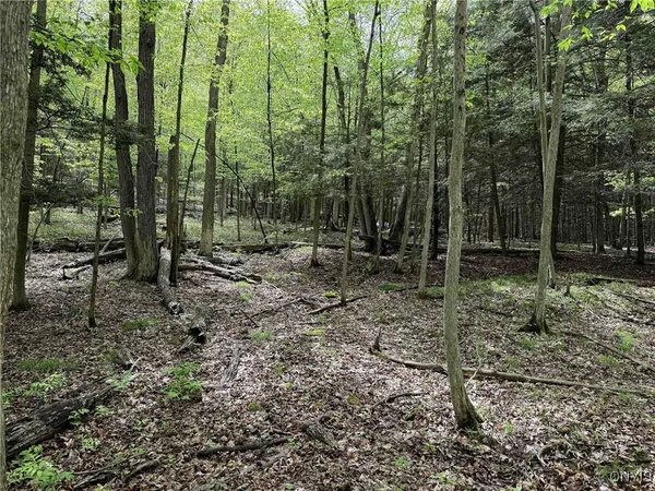 $175,000 | 3304 County Road 22, Cameron, NY 14820