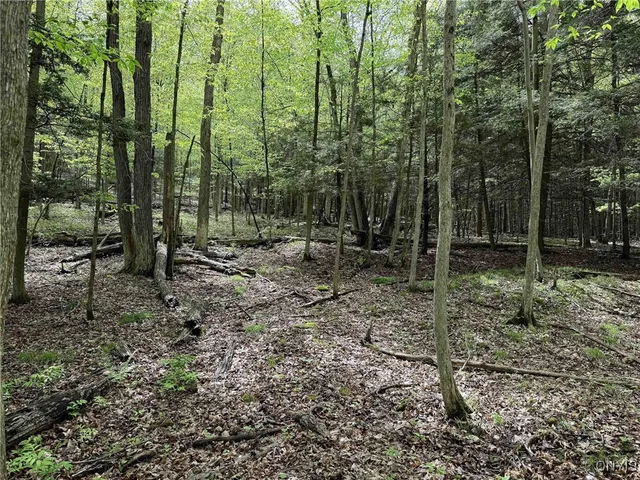 $175,000 | 3304 County Road 22, Cameron, NY 14820