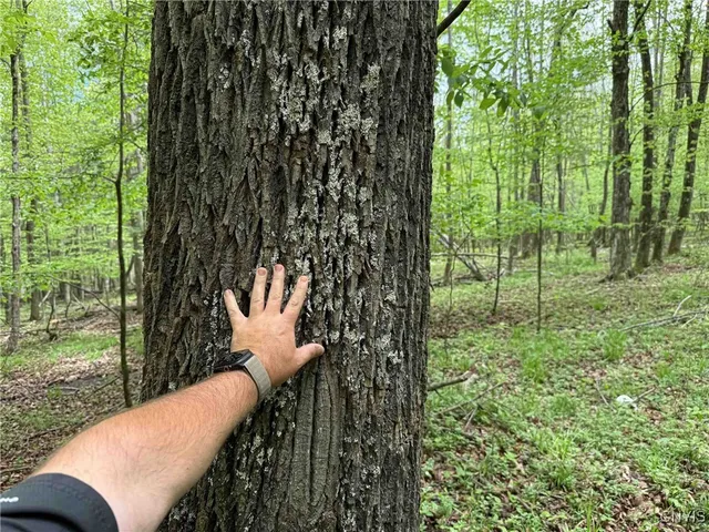 $175,000 | 3304 County Road 22, Cameron, NY 14820