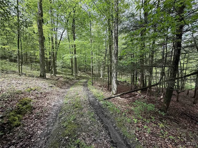 $175,000 | 3304 County Road 22, Cameron, NY 14820