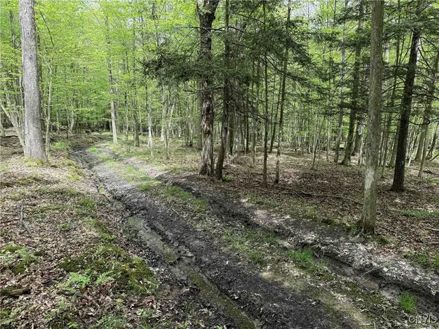 $175,000 | 3304 County Road 22, Cameron, NY 14820