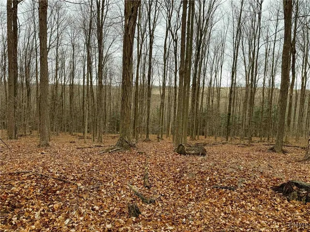 $175,000 | 3304 County Road 22, Cameron, NY 14820