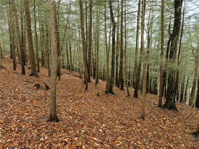 $175,000 | 3304 County Road 22, Cameron, NY 14820