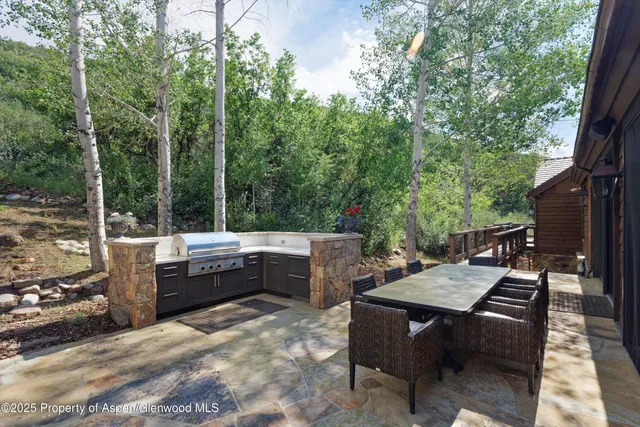 a view of a patio with couches chairs potted plants and a table and chairs